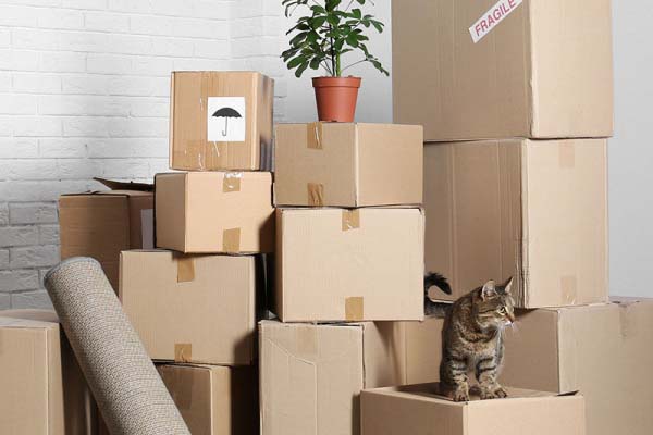 Household Shifting Services in Indore